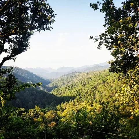 Landscape
