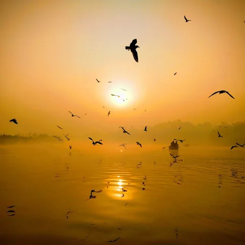 Somewhere in Delhi

बताइए कहाँ