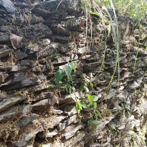 Walls are generally made to keep people away. But some walls invite you to have conversations with them.

कुछ दीवारें आप