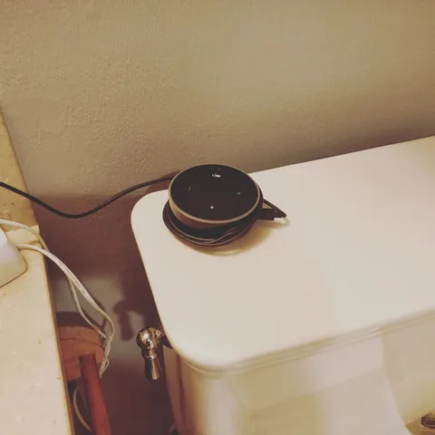 How normal people approach the presence of an Amazon Echo in a bathroom: "Oh, the house owners listen to music while sho