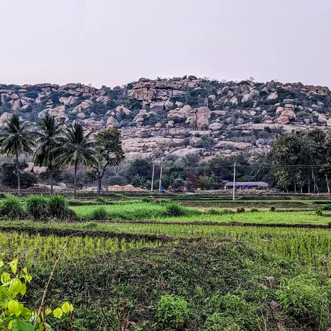 A far away view of our #campsite in #Hampi