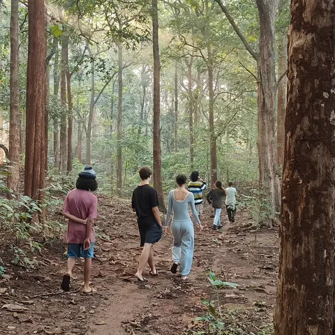 Motivating a bunch of #teenagers to go for an early #morning #walk through the #forest is hard. Hard but rewarding.
