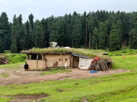 Can't have enough of these beautiful homes