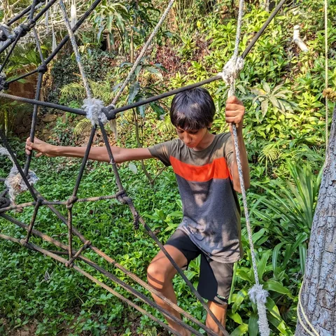 आज दूसरों के बच्चों को झाड़ पर चढ़ाया