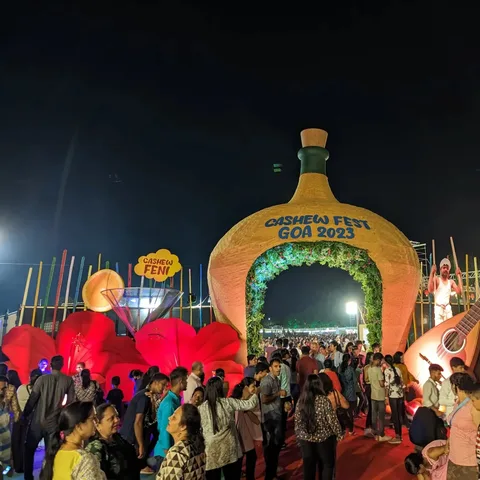 It you've heard of the stereotype "Goans just need an excuse to party", I assure you that it's entirely true. I think we