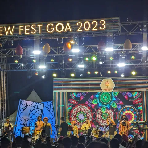 It you've heard of the stereotype "Goans just need an excuse to party", I assure you that it's entirely true. I think we