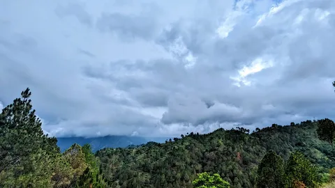 Don't go into the #mountains in the #monsoons, they said. We've been driving through #clouds and the #rain for hours now