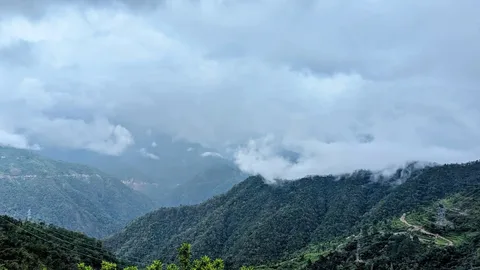 Don't go into the #mountains in the #monsoons, they said. We've been driving through #clouds and the #rain for hours now