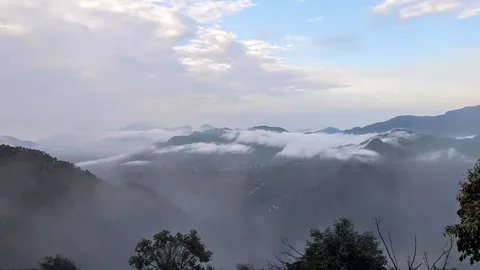 आज सुबह की photos की खेती