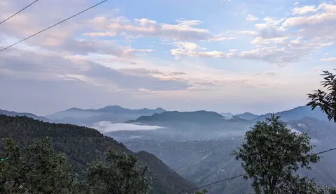 आज सुबह की photos की खेती